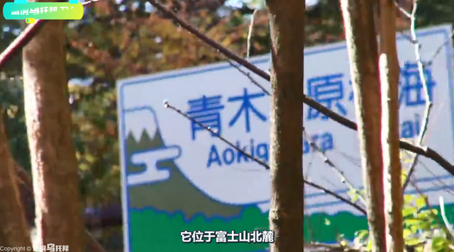 荔湾尸场_荔湾尸场广字为何不改172 / 作者:UFO爱好者 / 帖子ID:98260 荔湾尸场_荔湾尸场广字为何不改172 / 作者:UFO爱好者 / 帖子ID:98260