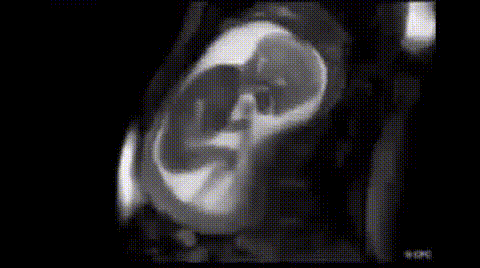 灵异图片_灵异图片超级恐怖图片375 / 作者:UFO爱好者 / 帖子ID:98263