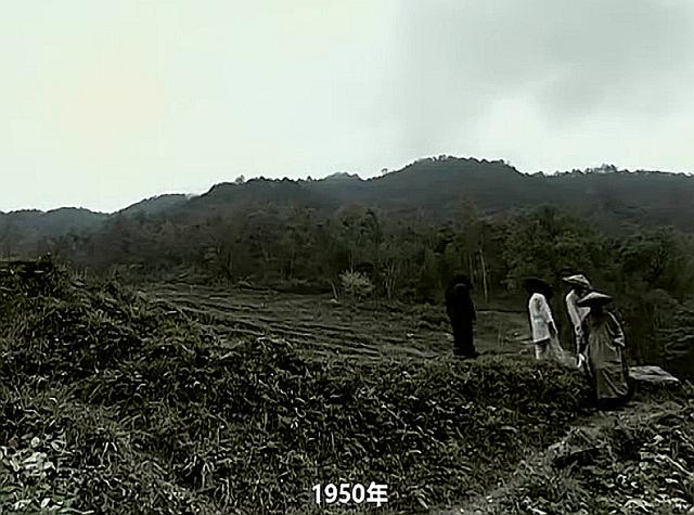 湘西赶尸_湘西赶尸人764 / 作者:UFO爱好者 / 帖子ID:97497