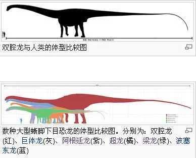 最大的恐龙_最大的恐龙是什么恐龙248 / 作者:UFO爱好者 / 帖子ID:98714