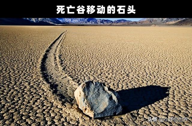 世界奇闻怪事_世界奇闻怪事大全集479 / 作者:UFO爱好者 / 帖子ID:100329