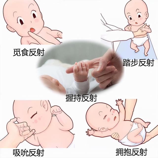 一夫多妻_一夫多妻的国家有多少690 / 作者:UFO爱好者 / 帖子ID:97485
