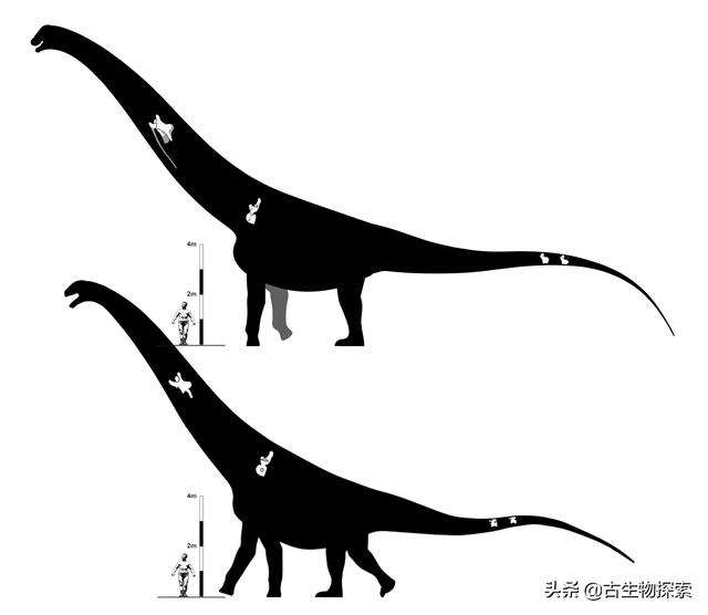 世界上最大的恐龙是什么_世界上最大的恐龙是什么恐龙1000 / 作者:UFO爱好者 / 帖子ID:103237