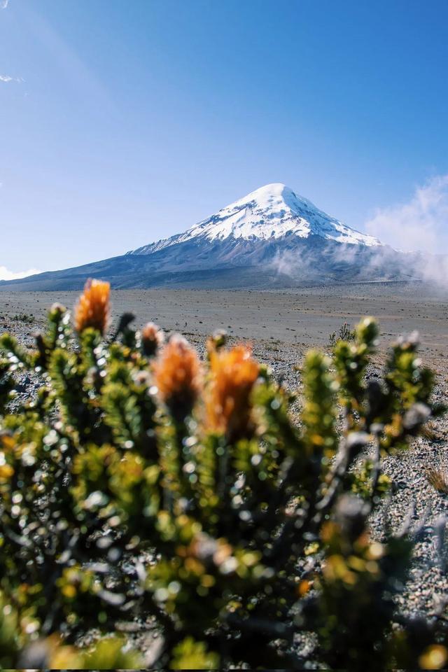 世界上海拔最高的山峰_世界上海拔最高的山峰是珠穆朗玛峰748 / 作者:UFO爱好者 / 帖子ID:103569