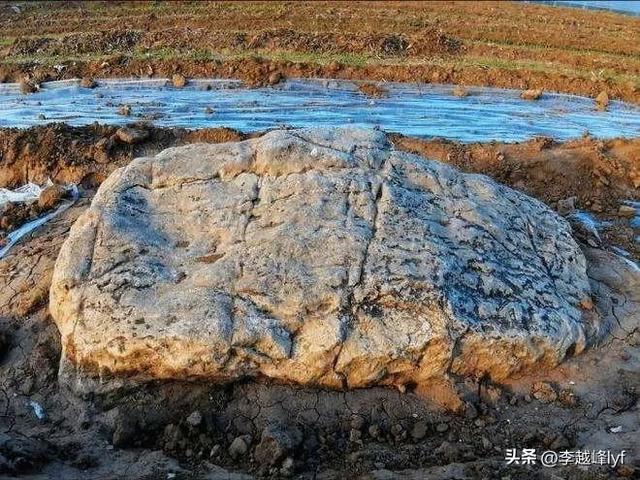 中国最高的山脉_中国最高的山脉是哪个山脉860 / 作者:UFO爱好者 / 帖子ID:100858