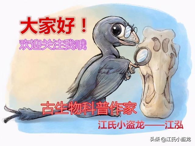 恐龙的图片大全大图_恐龙的图片大全大图片真实642 / 作者:UFO爱好者 / 帖子ID:104502