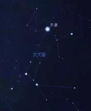 天狼星人_天狼星人灵魂特征480 / 作者:UFO爱好者 / 帖子ID:97570