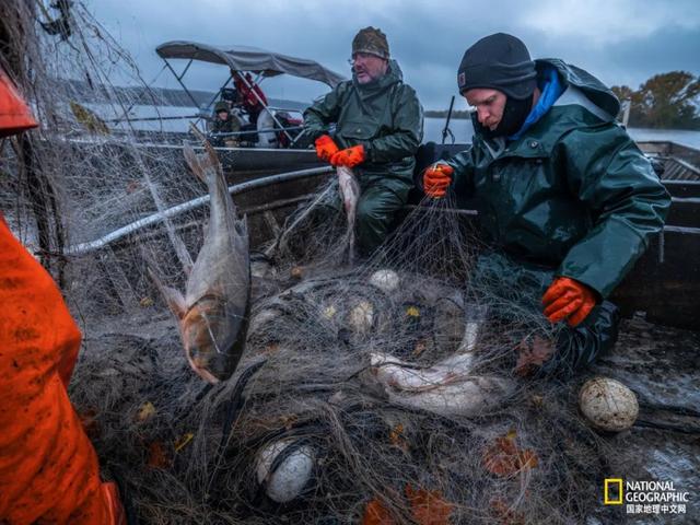 世界上最大的淡水湖是_世界上最大的淡水湖是哪个261 / 作者:UFO爱好者 / 帖子ID:103817