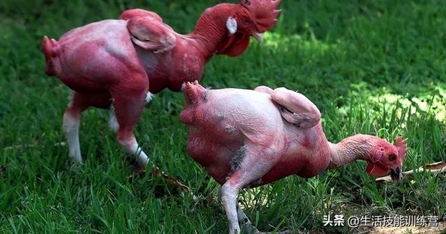 灵异图片_灵异图片超级恐怖图片149 / 作者:UFO爱好者 / 帖子ID:98263
