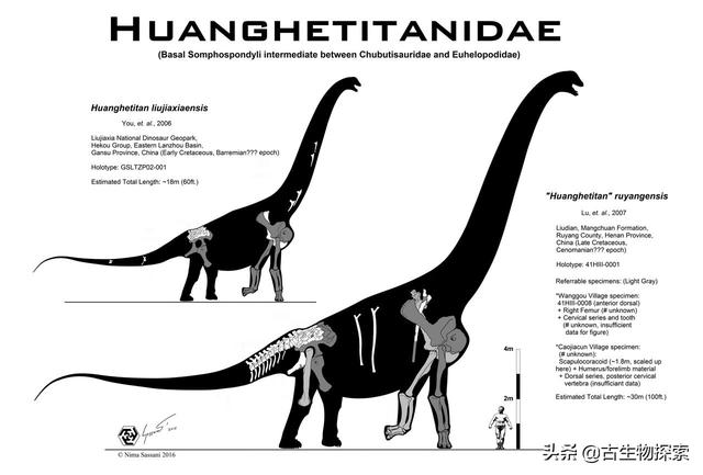 最长的恐龙_最长的恐龙是什么龙60 / 作者:UFO爱好者 / 帖子ID:111705