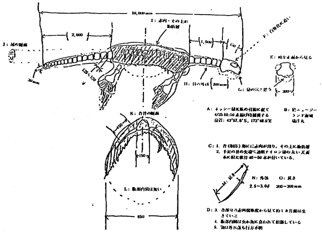 ͼƬ_ͼƬȫ224 / :UFO / ID:114716