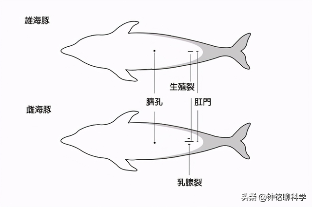  ը_㱬ըʲô123 / :UFO / ID:111390