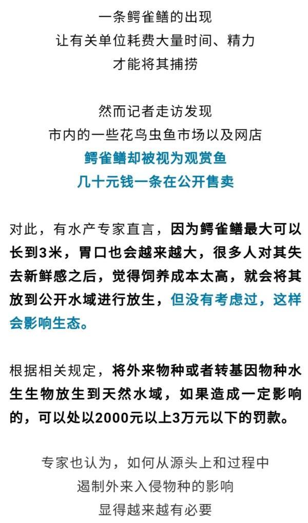 食肉水怪_食肉水怪纪录片343 / 作者:UFO爱好者 / 帖子ID:97746