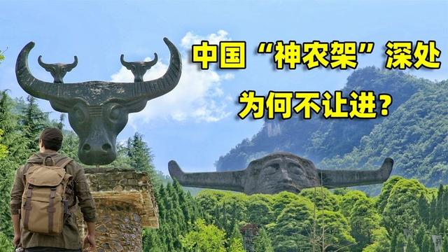 中国神农架_中国神农架在什么地方752 / 作者:UFO爱好者 / 帖子ID:111749