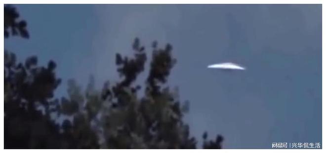 UFOƵ֣̬죬м죬Ҫ799 / :UFO / ID:115838