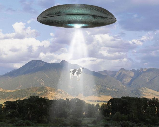 סˣ㽭ֲƲ׹ʲô146 / :UFO / ID:117809