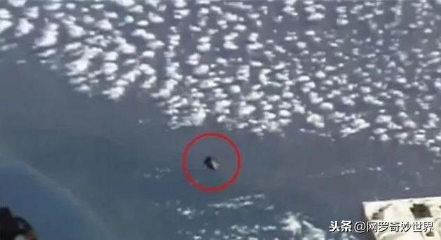 NASAδжֱʿռվԷ֡Բ׶Ρ壬UFO376 / :ʺ / ID:125399